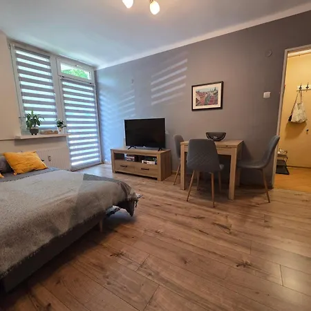 Cozy In With Free Parking And Wi-fi Apartment *